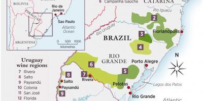 Kart over Uruguay vin